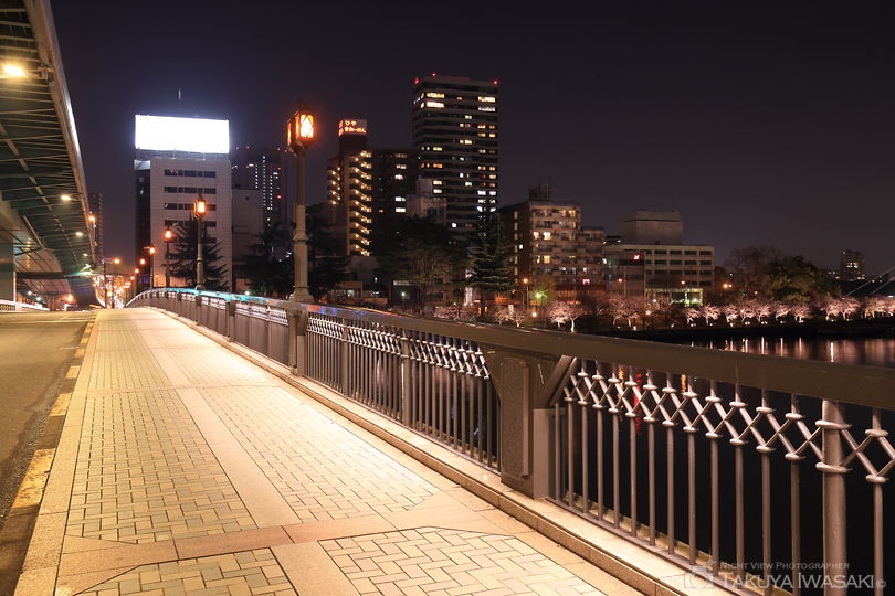 天満橋の夜景スポット写真（4）
