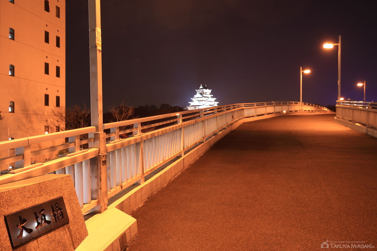 大坂橋の夜景スポット写真（1）
