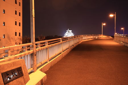 大坂橋の夜景スポット写真（1）class=