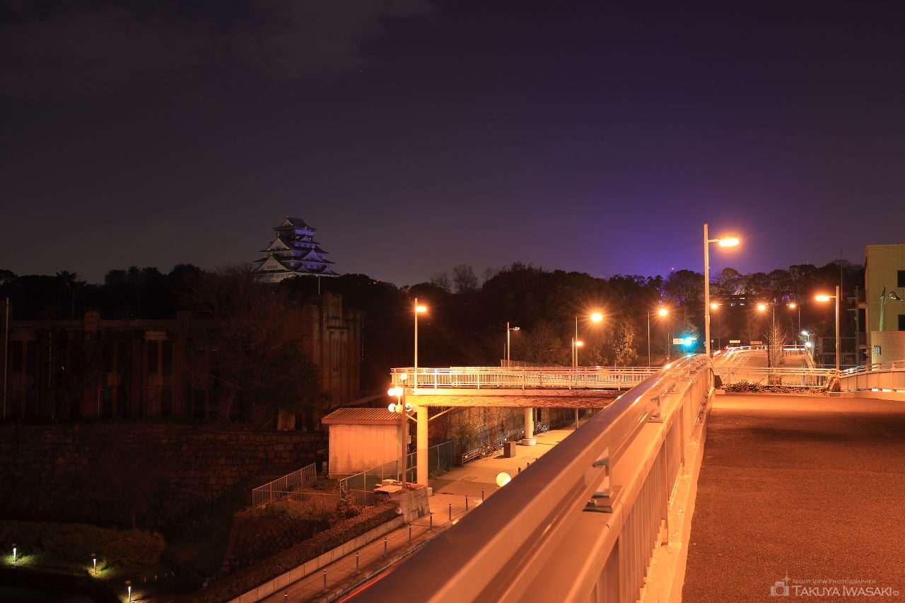大坂橋の夜景スポット写真（4）