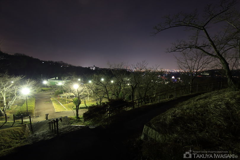 摂津峡公園　桜広場の夜景スポット写真（3）