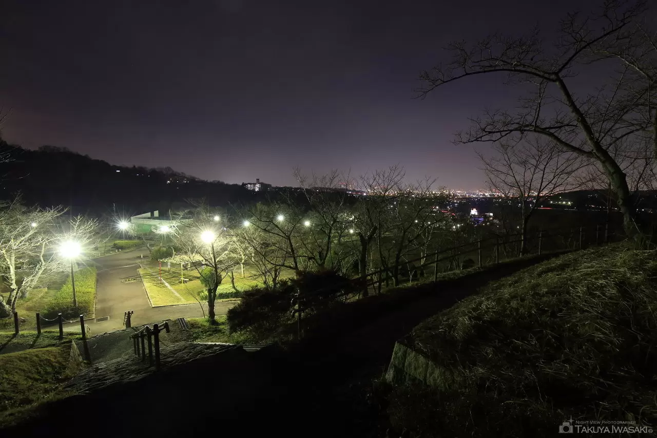 摂津峡公園 桜広場の夜景（大阪府高槻市）