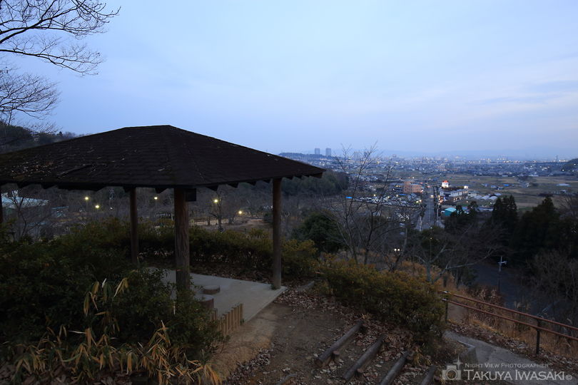 摂津峡公園　桜広場の夜景スポット写真（4）