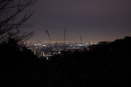 宝塚市内の夜景
