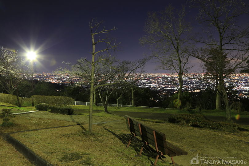 中山桜台公園の夜景スポット写真（4）