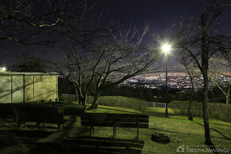 中山桜台公園の夜景スポット写真（5）