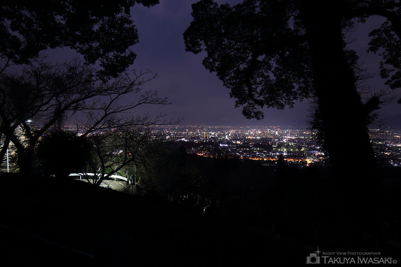 高良大社の夜景スポット写真（5）
