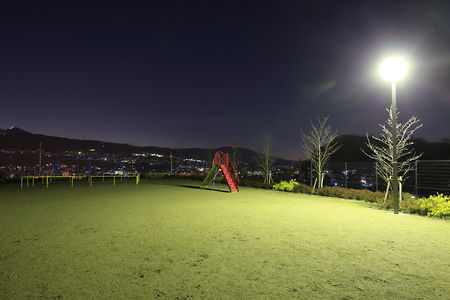 王寺スカイヒルズ ほしぞら公園の夜景スポット写真（3）class=