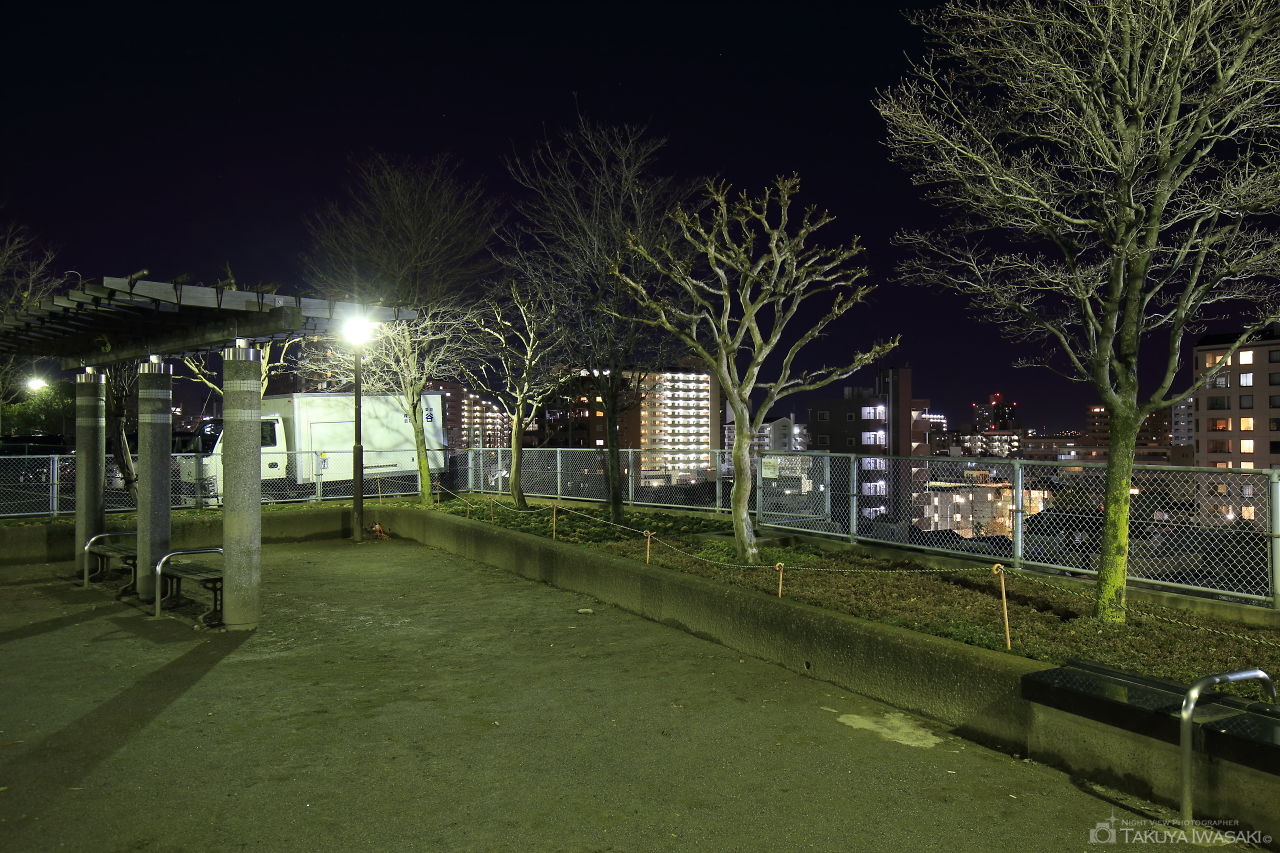 赤羽台四丁目公園の夜景スポット写真（2）