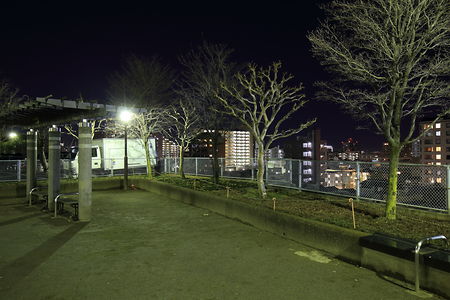 赤羽台四丁目公園の夜景スポット写真（2）class=