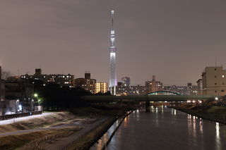 ライトアップされた東京スカイツリーを望む