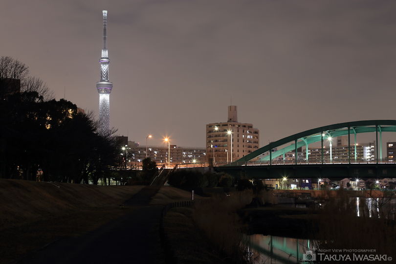 亀戸中央公園の夜景スポット写真（2）