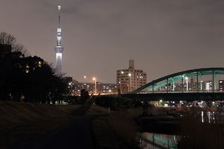 亀戸中央公園の夜景スポット写真（2）class=