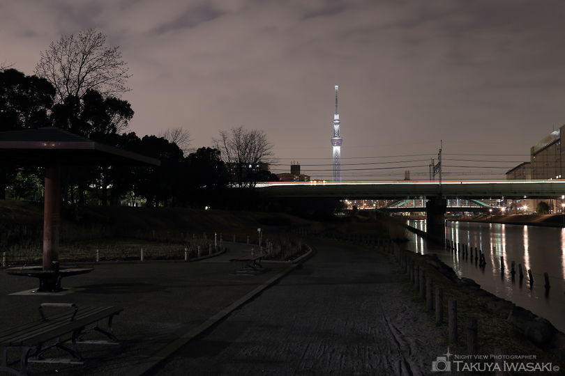 亀戸中央公園の夜景スポット写真（3）