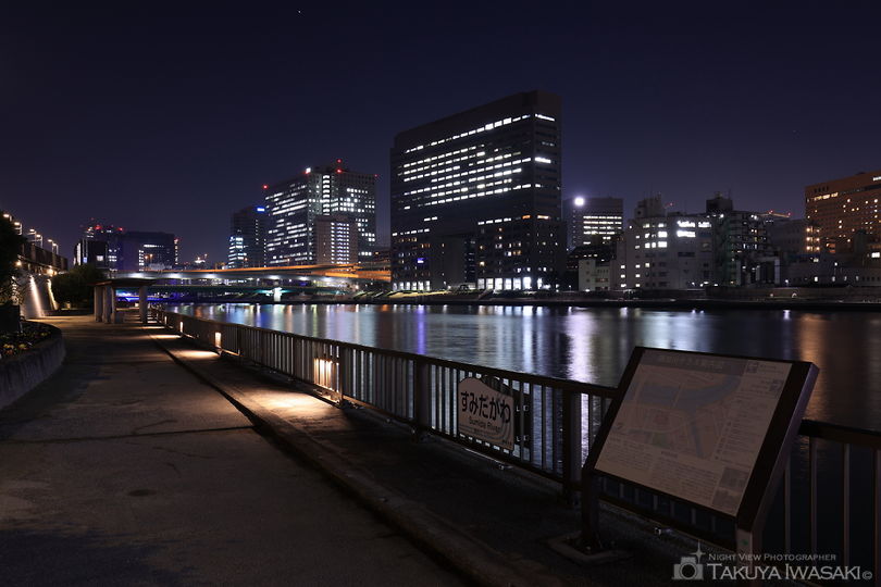 隅田川テラス・清洲橋東側の夜景スポット写真（4）