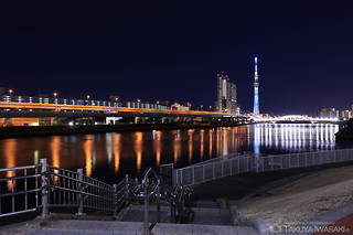 汐入公園の夜景スポット写真（2）class=