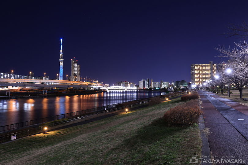 汐入公園の夜景スポット写真（3）