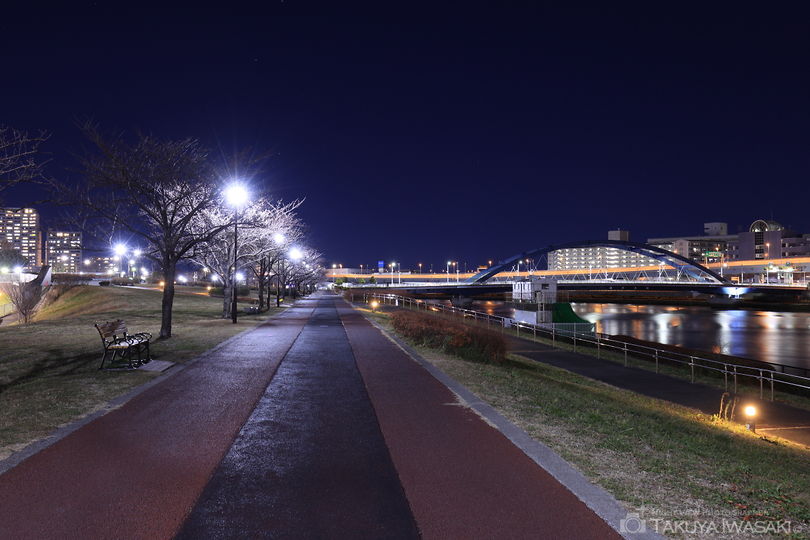 汐入公園の夜景スポット写真（5）