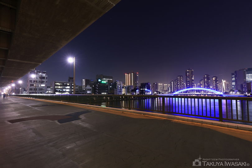 隅田川大橋 南側の夜景スポット写真（5）