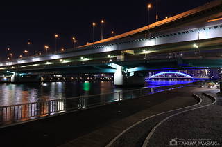 隅田川大橋を見上げる