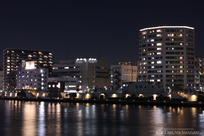 隅田川テラス　隅田川大橋付近の夜景スポット写真（6）