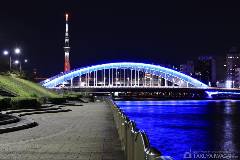 新川公園の夜景スポット写真（3）