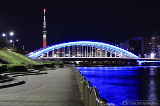 新川公園の夜景スポット写真（3）class=