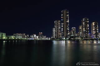 新川公園の夜景スポット写真（5）class=