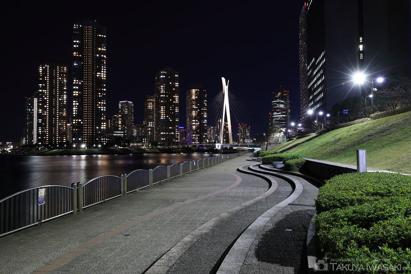 新川公園の夜景スポット写真（6）