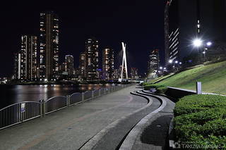 新川公園の夜景スポット写真（6）class=