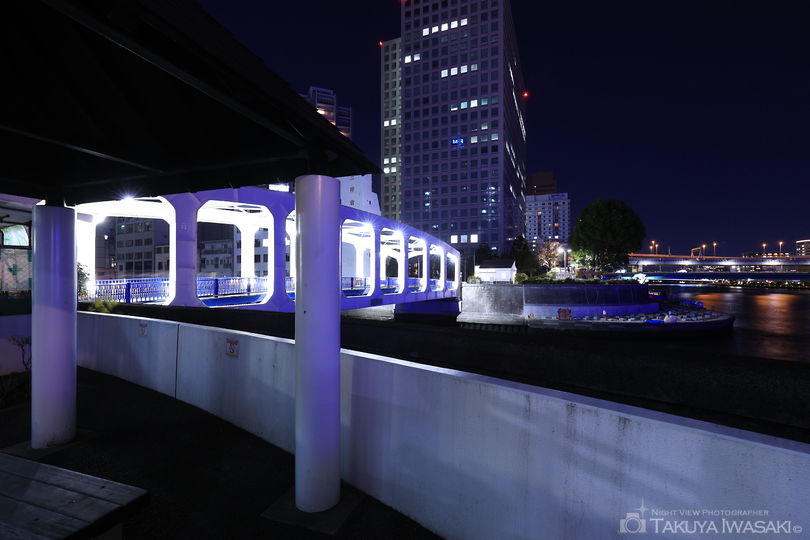 豊海橋の夜景スポット写真（6）