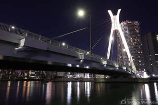 石川島公園から中央大橋を望む