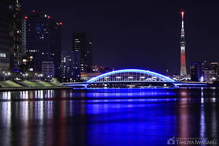 永代橋と東京スカイツリーを望む
