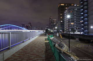 勝どき5丁目緑地の夜景スポット写真（4）class=