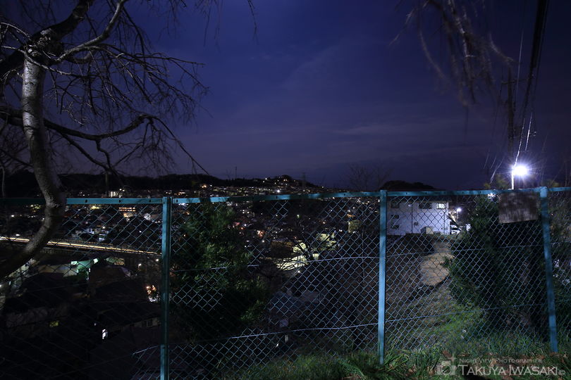 松根台公園の夜景スポット写真（3）