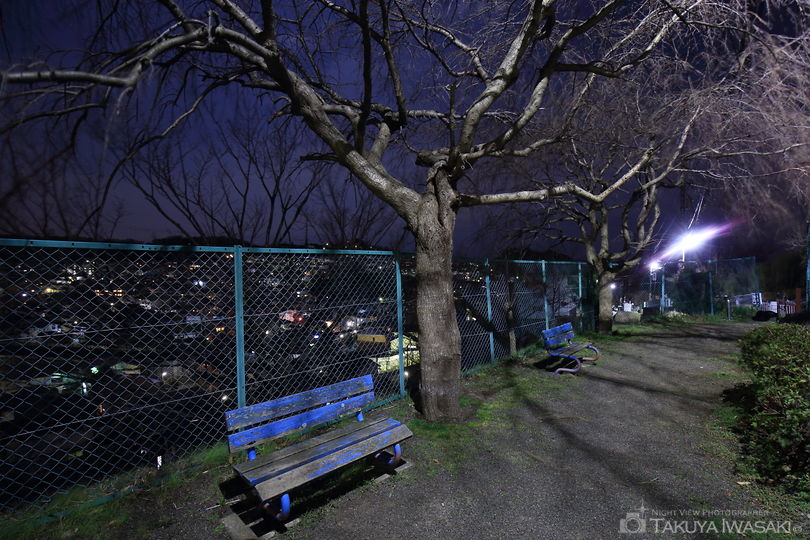 松根台公園の夜景スポット写真（4）