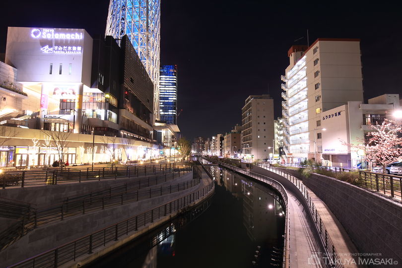 東武橋・東京スカイツリーの夜景スポット写真（3）