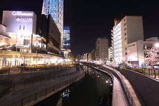 東武橋・東京スカイツリーの夜景スポット写真（3）class=