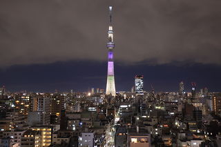 東京スカイツリーのライトアップ「明花」を望む