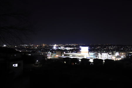 ほほえみ公園の夜景スポット写真（1）class=