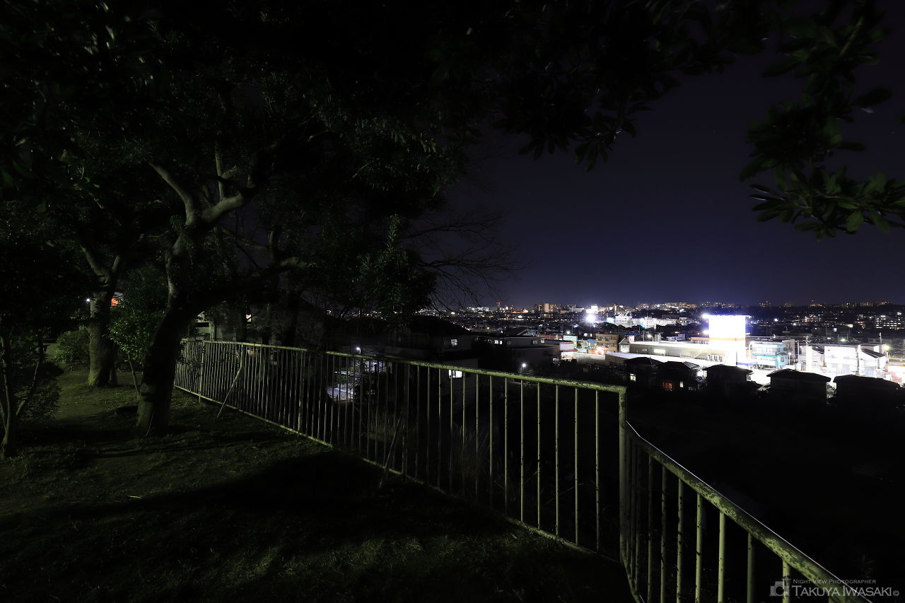 ほほえみ公園の夜景スポット写真（3）