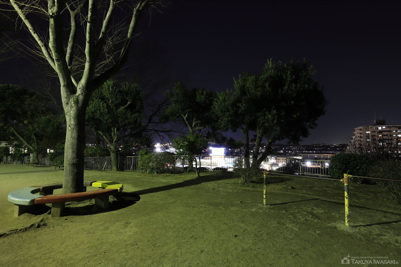 ほほえみ公園の夜景スポット写真（4）