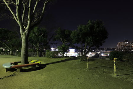 ほほえみ公園の夜景スポット写真（4）class=