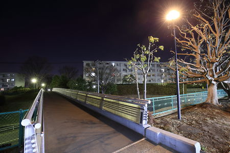 高幡台歩道橋の夜景スポット写真（3）class=