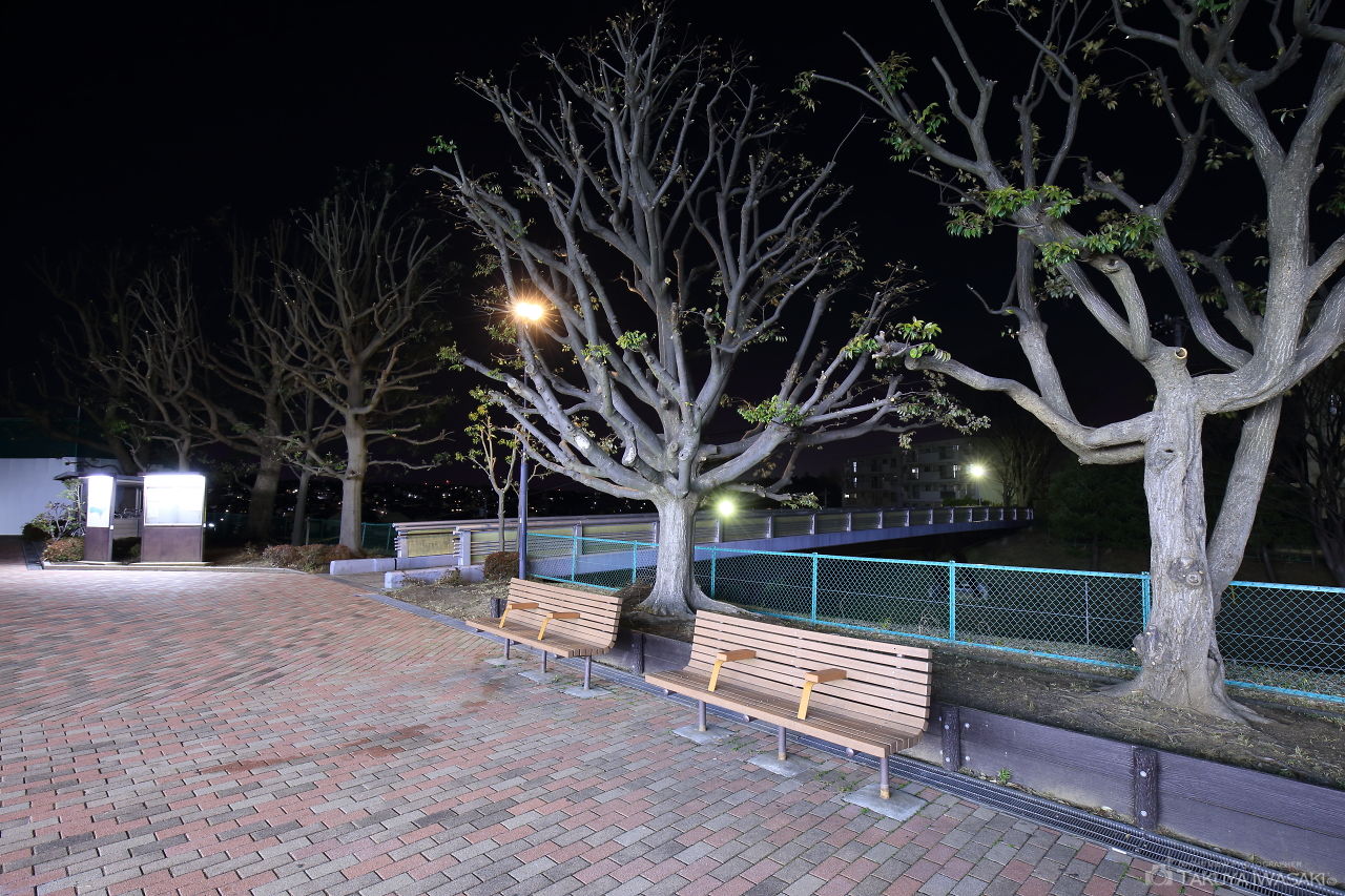 高幡台歩道橋の夜景スポット写真（4）