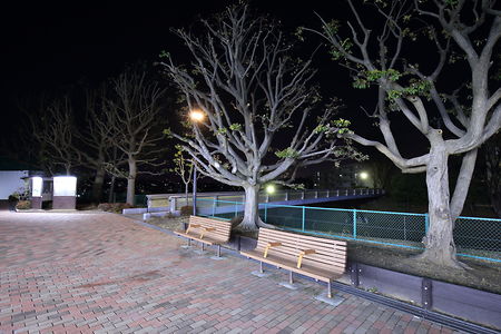 高幡台歩道橋の夜景スポット写真（4）class=