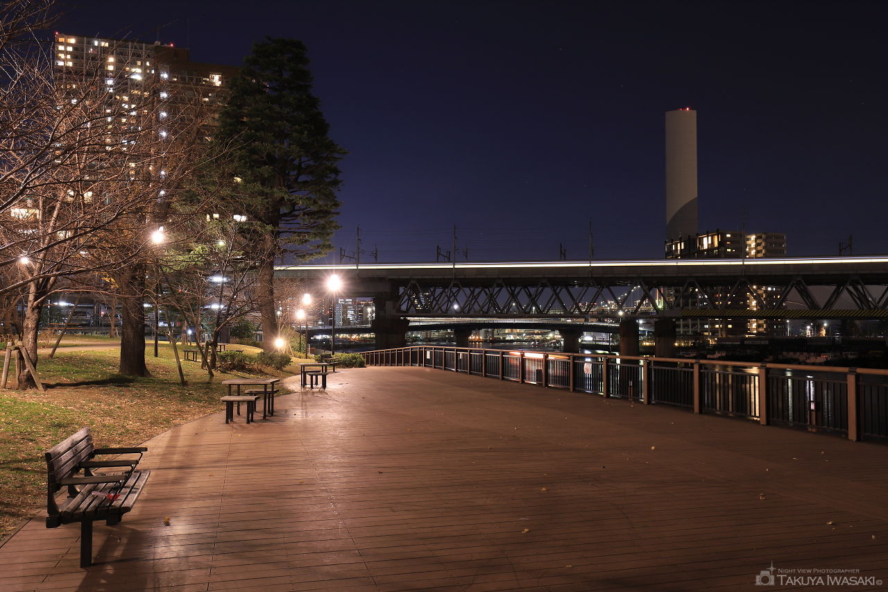港南緑水公園の夜景スポット写真（2）