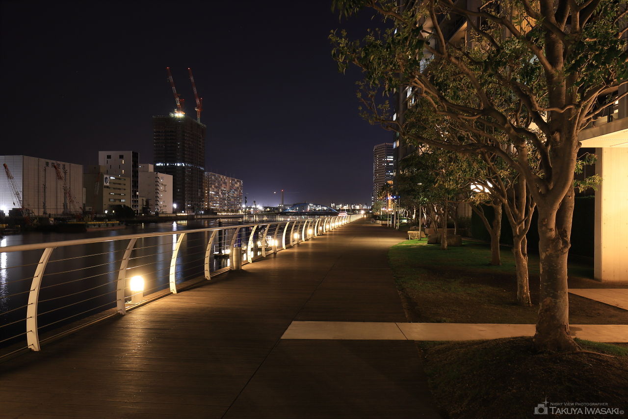 港南緑水公園の夜景スポット写真（3）