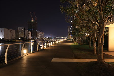 港南緑水公園の夜景スポット写真（3）class=