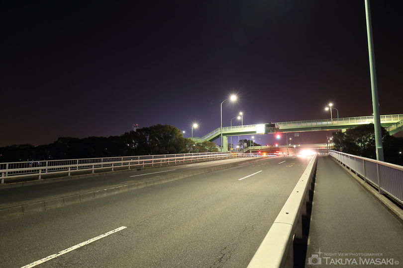 大井北埠頭橋の夜景スポット写真（2）